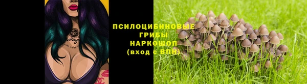 ALPHA-PVP Алексеевка